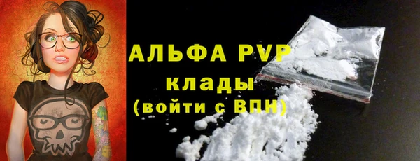 гашик Корсаков