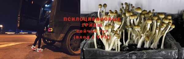 тгк Костерёво