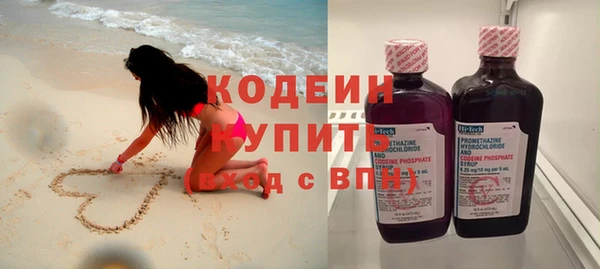 гашик Корсаков