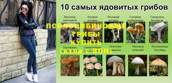 скорость Коряжма