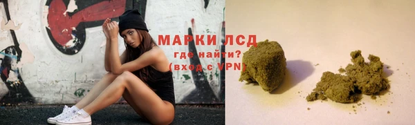 гашик Корсаков