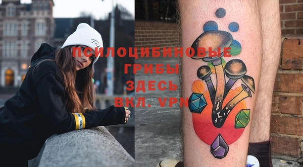 индика Краснотурьинск