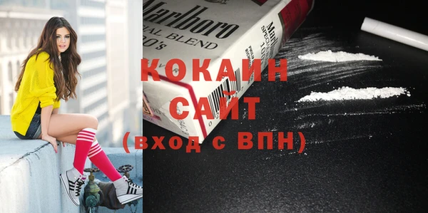 гашик Корсаков
