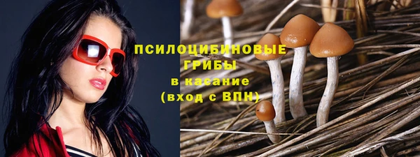 гашик Корсаков