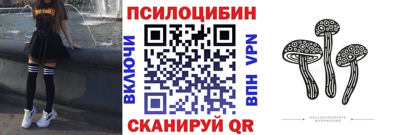 Псилоцибиновые грибы мицелий  Купить закладки  Геленджик 