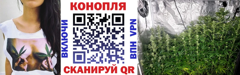 Конопля семена  Купить закладки  Геленджик 